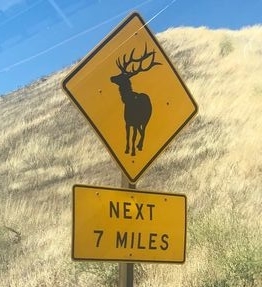 アメリカの道路標識 - コドモトUSA