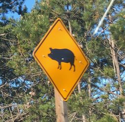 アメリカの道路標識 - コドモトUSA