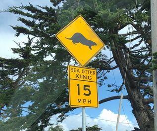 アメリカの道路標識 - コドモトUSA