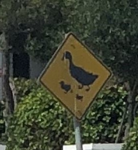 アメリカの道路標識 - コドモトUSA