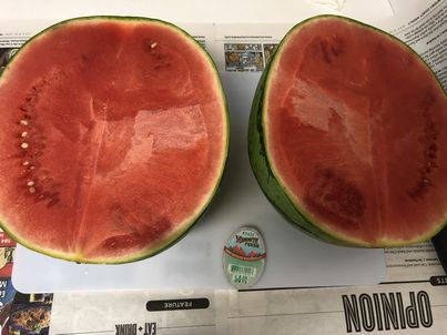 アメリカのスーパーで売っている、変わったフルーツ図鑑