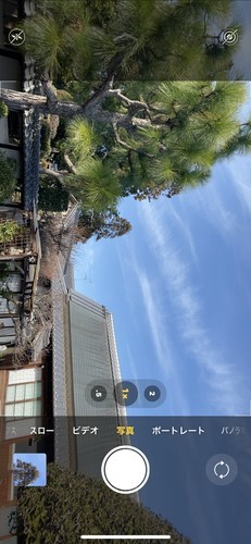 f:id:pineapple-bomb:20200111110026j:plain 望遠カメラ iPhone11