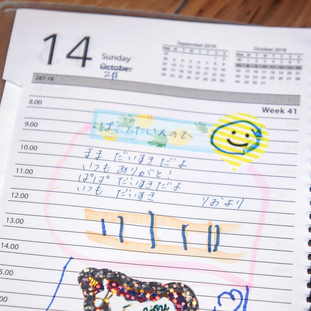 f:id:pineapple_planner:20190215030456j:plain f:id:pineapple_planner:20190215030456j:plain