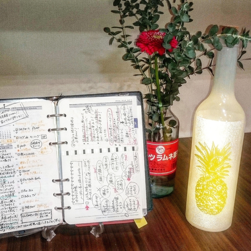 f:id:pineapple_planner:20190311011933j:plain f:id:pineapple_planner:20190311011933j:plain