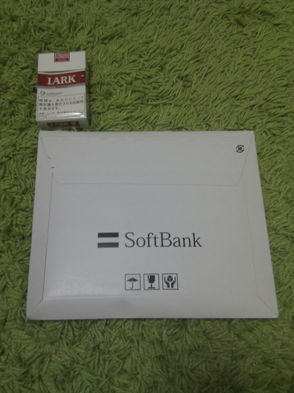 f:id:pinelivre:20110621003009j:image:w360