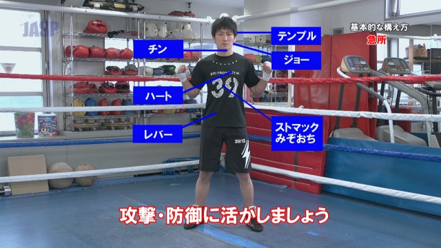 f:id:pingpongplanet:20200514182534j:plain f:id:pingpongplanet:20200514182534j:plain