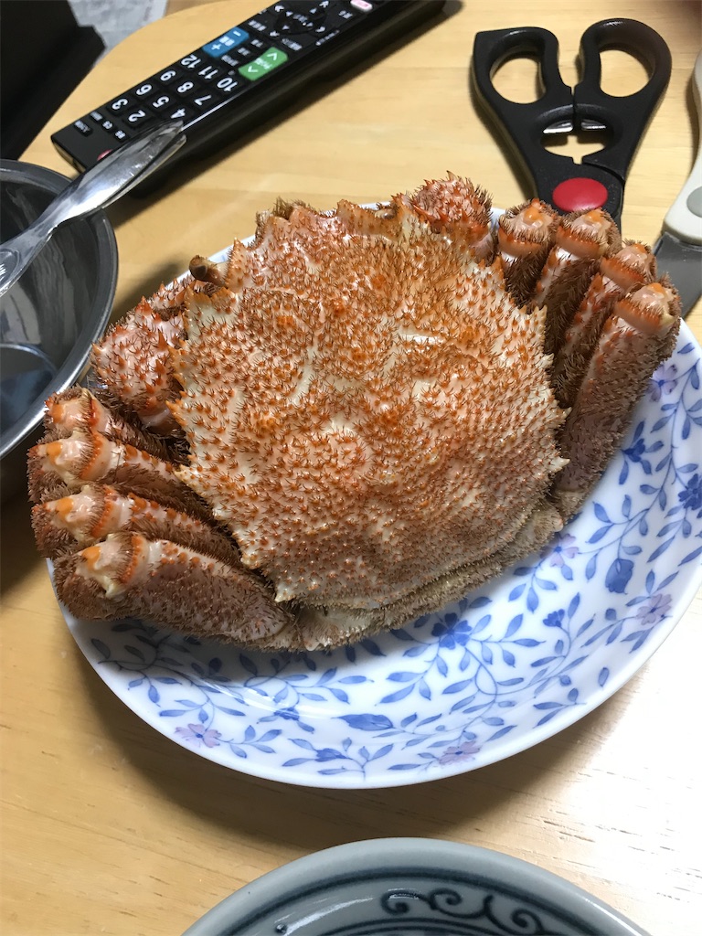 f:id:pinhhtara:20200118213041j:image f:id:pinhhtara:20200118213041j:image