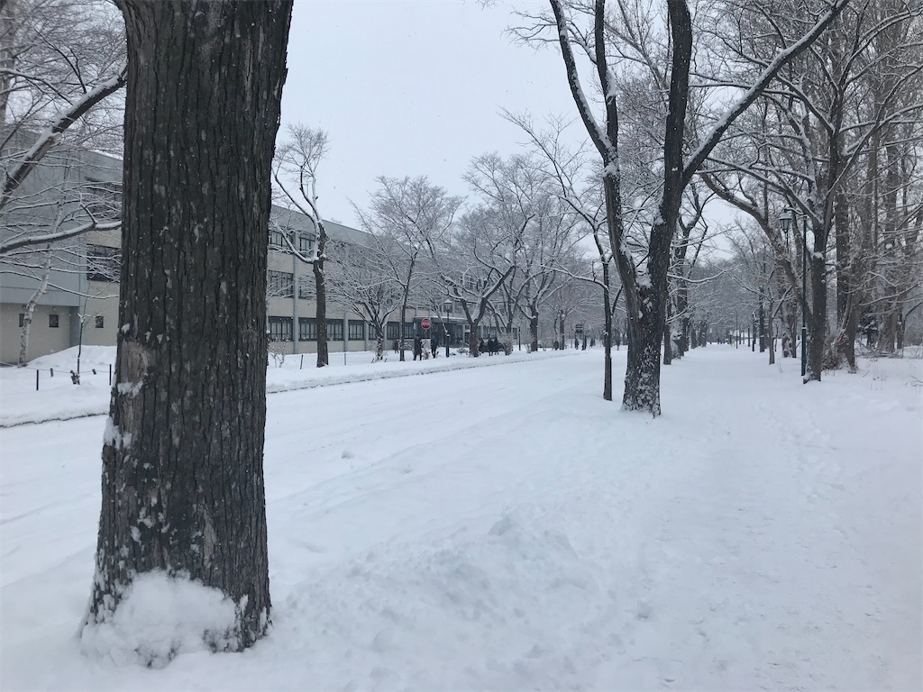 f:id:pinhhtara:20200120083501j:image f:id:pinhhtara:20200120083501j:image