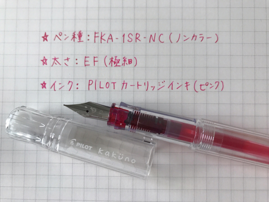 Pilot万年筆 Kakuno カクノ を紹介します これは厄介だっていう説もあるけど