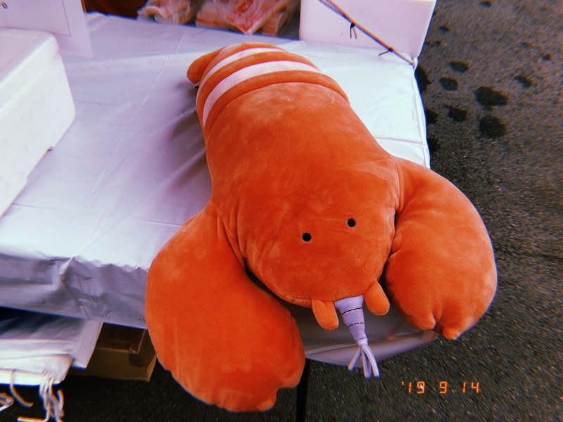 f:id:pink8er-hana:20190921214814j:plain