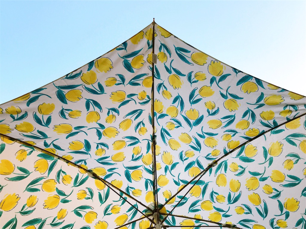 f:id:pink8er-hana:20200330124743j:image f:id:pink8er-hana:20200330124743j:image