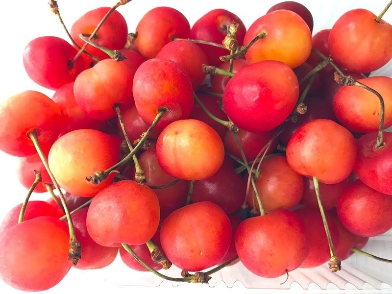 f:id:pink8er-hana:20210706220736j:plain