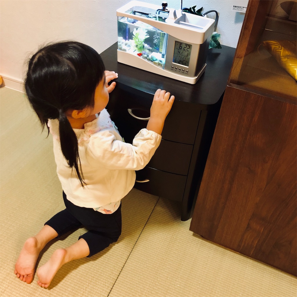 f:id:pinkcarrot:20200328013403j:image