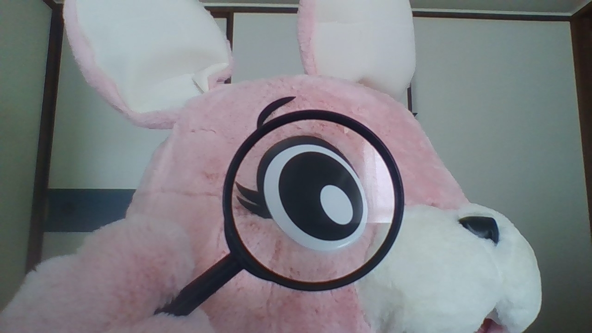 f:id:pinkchanusagi:20210830131615j:plain