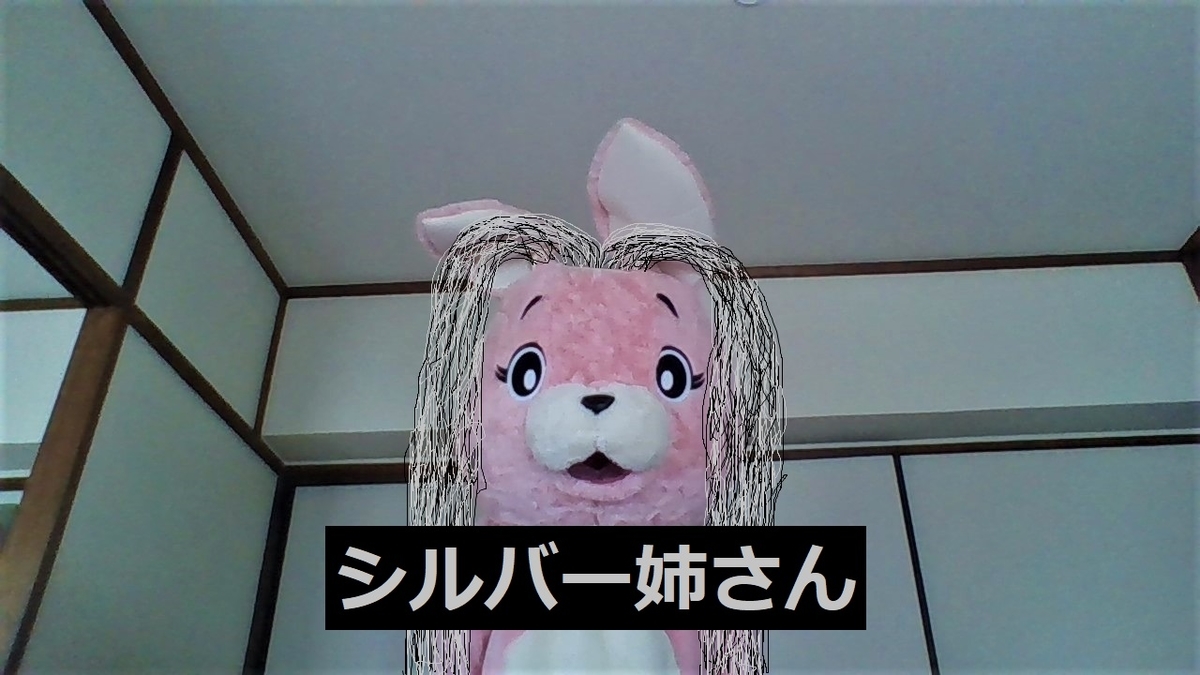 f:id:pinkchanusagi:20210905082632j:plain