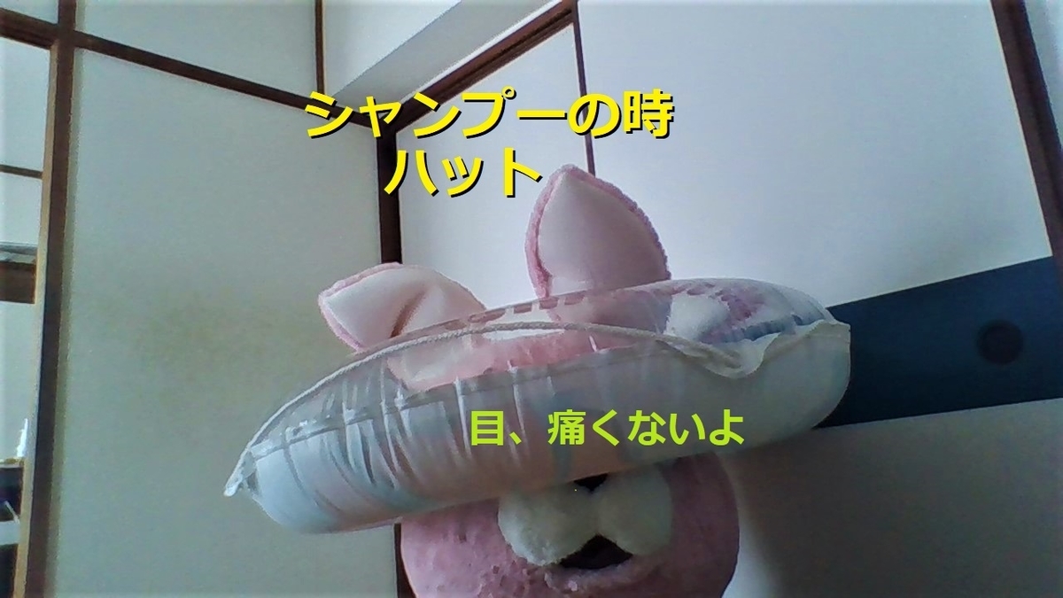 f:id:pinkchanusagi:20210908132124j:plain