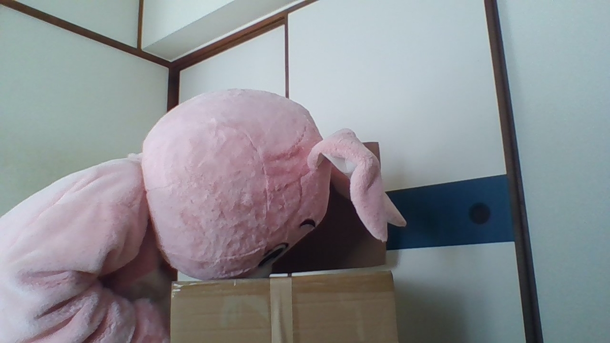 f:id:pinkchanusagi:20210911134250j:plain