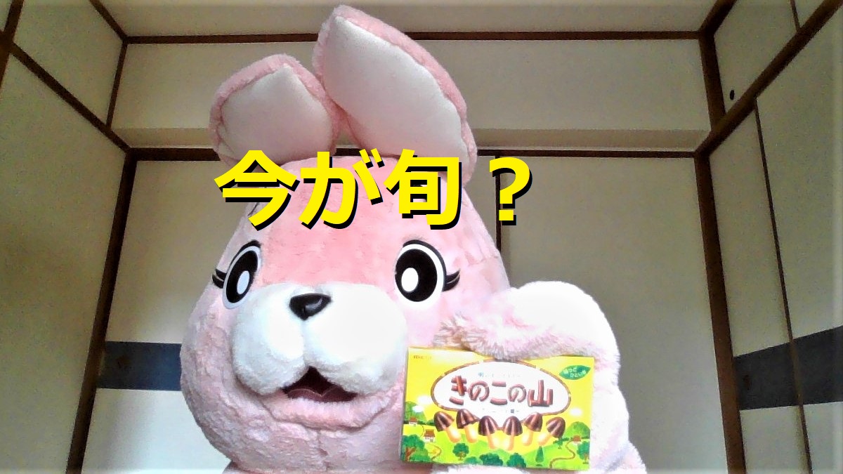 f:id:pinkchanusagi:20210915143235j:plain