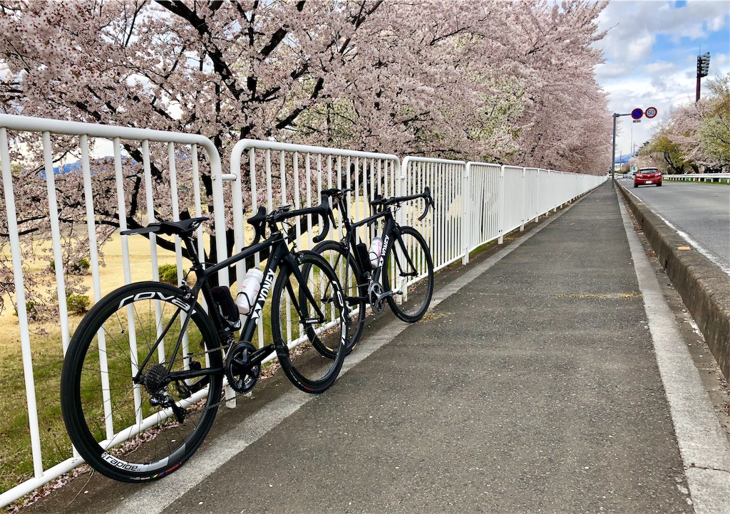 f:id:pinkjerseyclimber:20190415001951j:image f:id:pinkjerseyclimber:20190415001951j:image