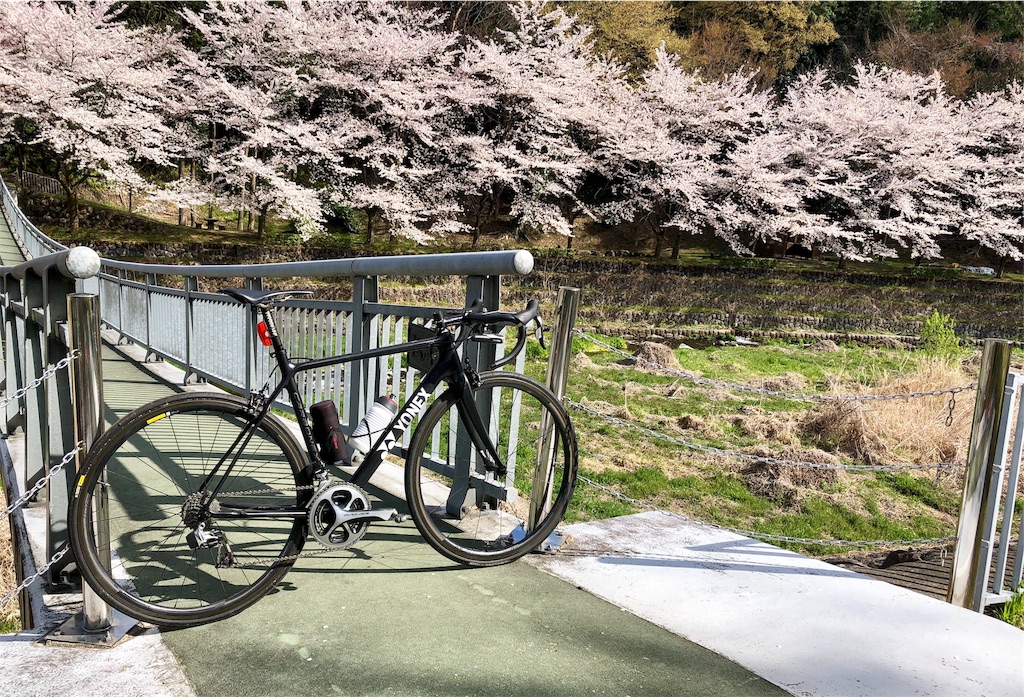 f:id:pinkjerseyclimber:20190416212704j:image f:id:pinkjerseyclimber:20190416212704j:image