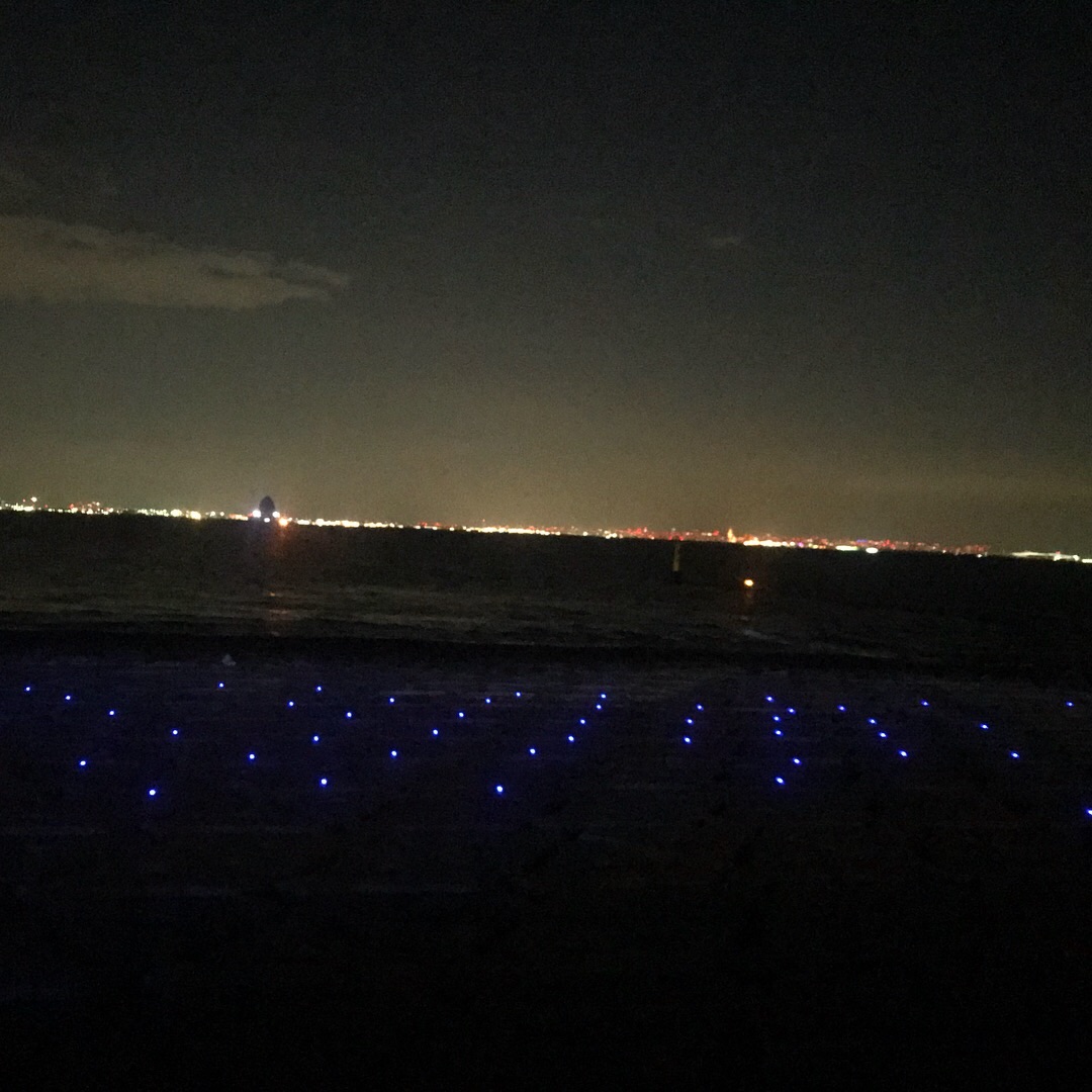 千葉 房総へ車中泊の旅 我が家の記録 おすすめプラン ニコッと雑記 Pinkniko Blogs