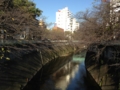 [川と橋]神田川＠面影橋