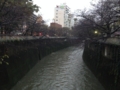 [川と橋]神田川＠面影橋(大雨)