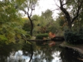 [公園][三宝寺池]石神井公園 三宝寺池