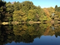 [公園][三宝寺池]石神井公園 三宝寺池