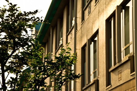 university