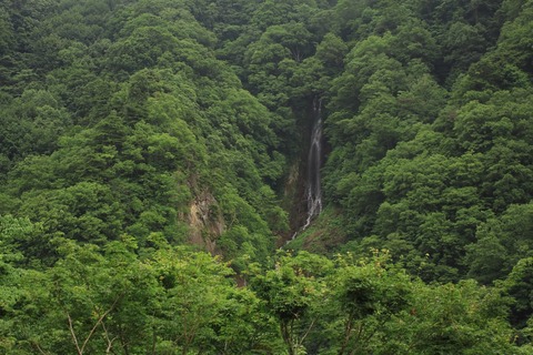 G145_nagarerutakitoyama_TP_V