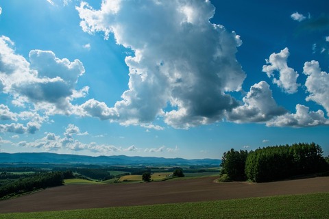 takkenn