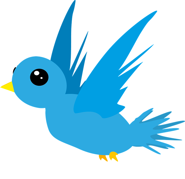 f:id:pinkspider01link18:20161106184841p:plain f:id:pinkspider01link18:20161106184841p:plain