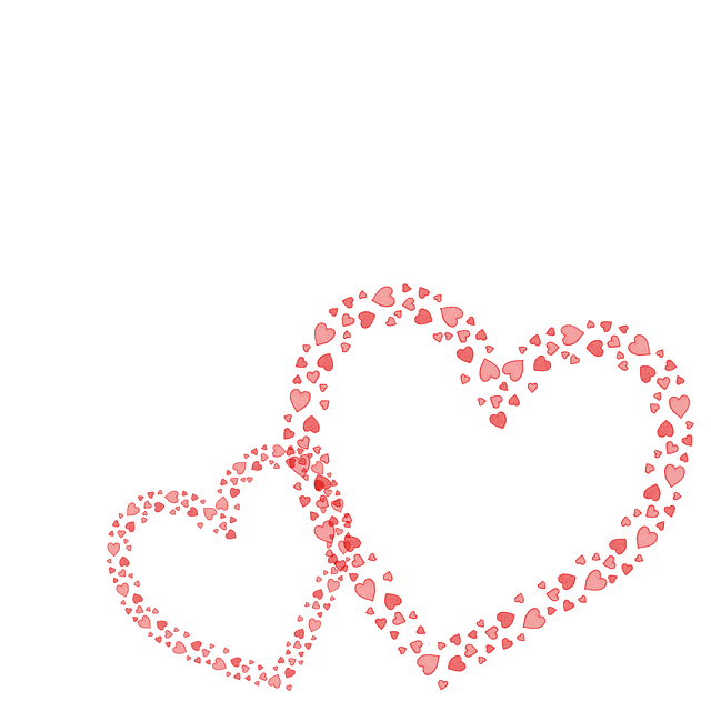 f:id:pinkspider01link18:20170204165207p:plain f:id:pinkspider01link18:20170204165207p:plain