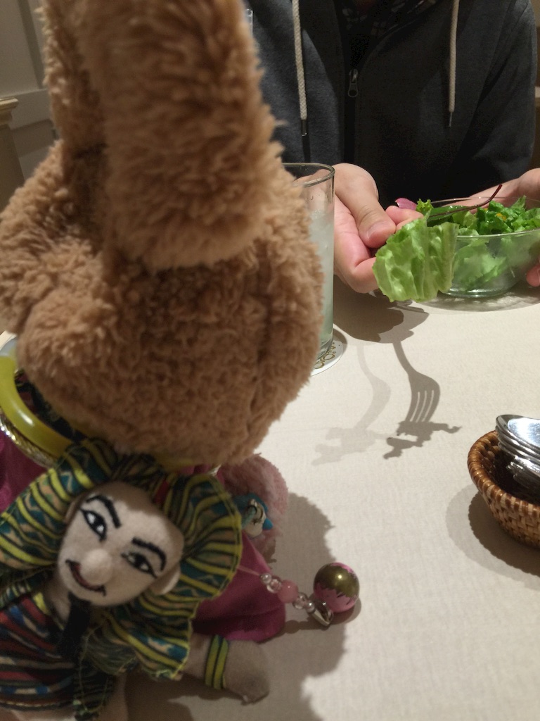 f:id:pinkstrawberryflavor:20170109104029j:image