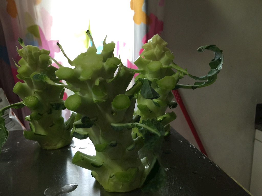 f:id:pinkstrawberryflavor:20170822132243j:image