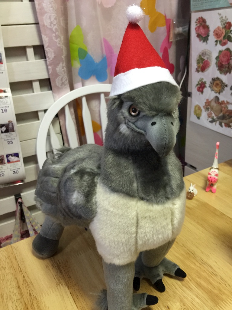 f:id:pinkstrawberryflavor:20171225112203j:image