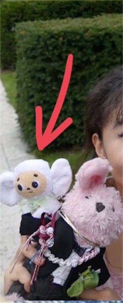 f:id:pinkstrawberryflavor:20200821144231j:image
