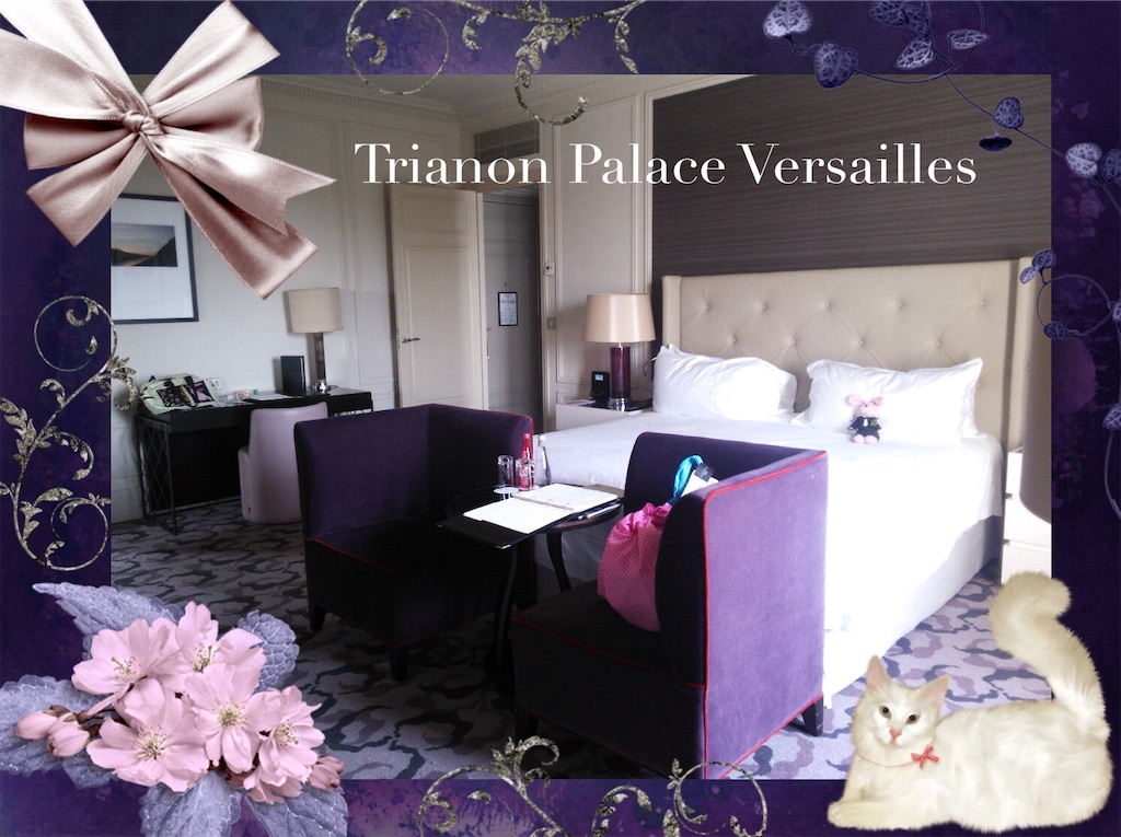 f:id:pinkstrawberryflavor:20200905140207j:image