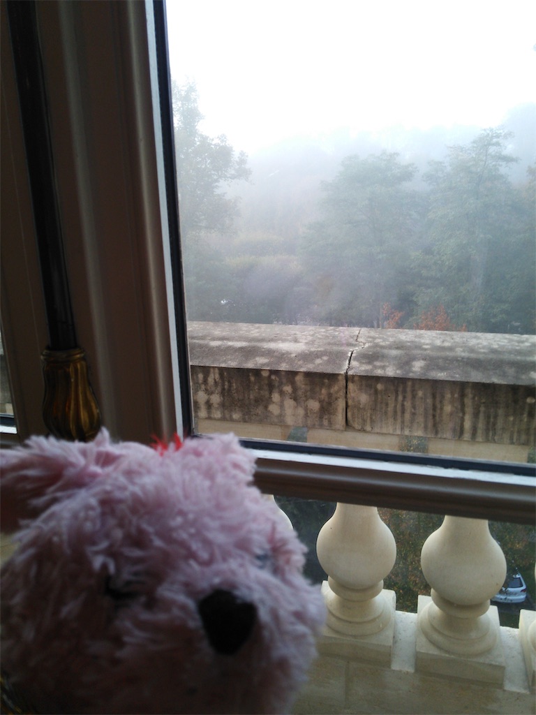 f:id:pinkstrawberryflavor:20200929111249j:image