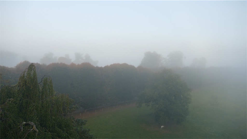 f:id:pinkstrawberryflavor:20200929112634j:image