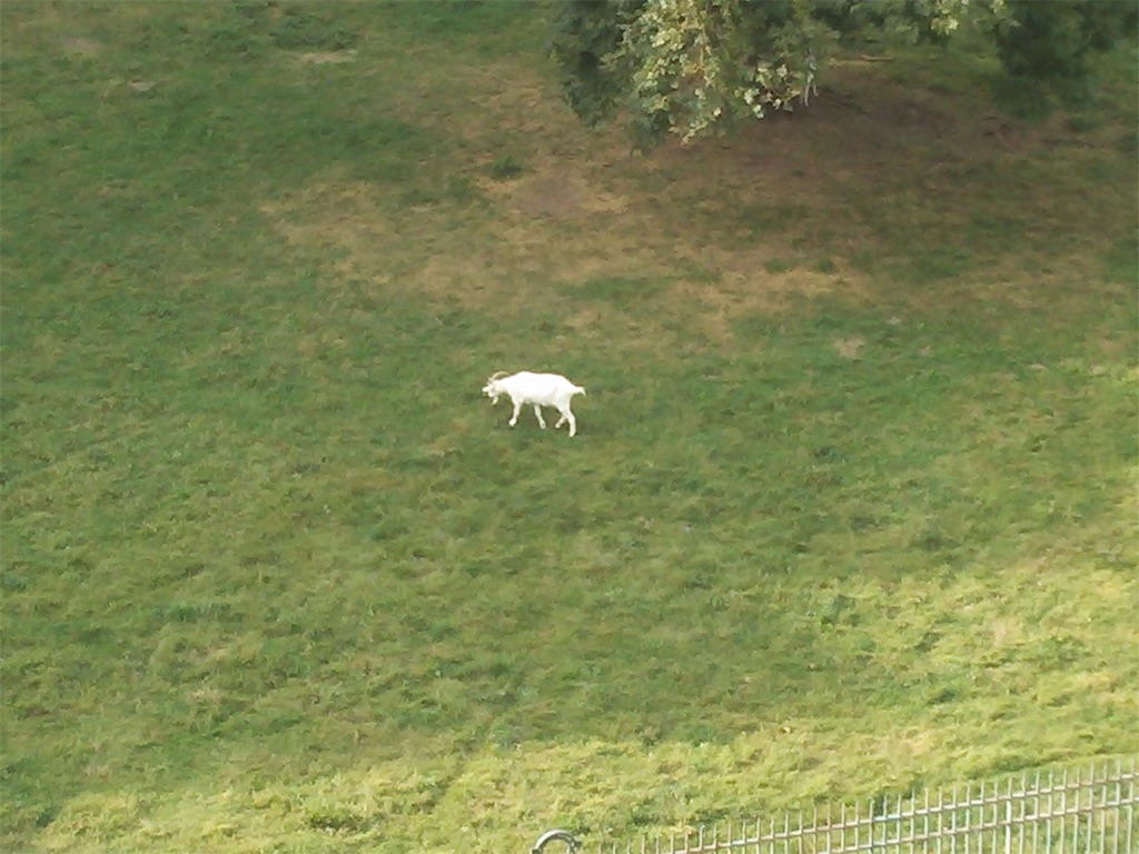 f:id:pinkstrawberryflavor:20200929112717j:image