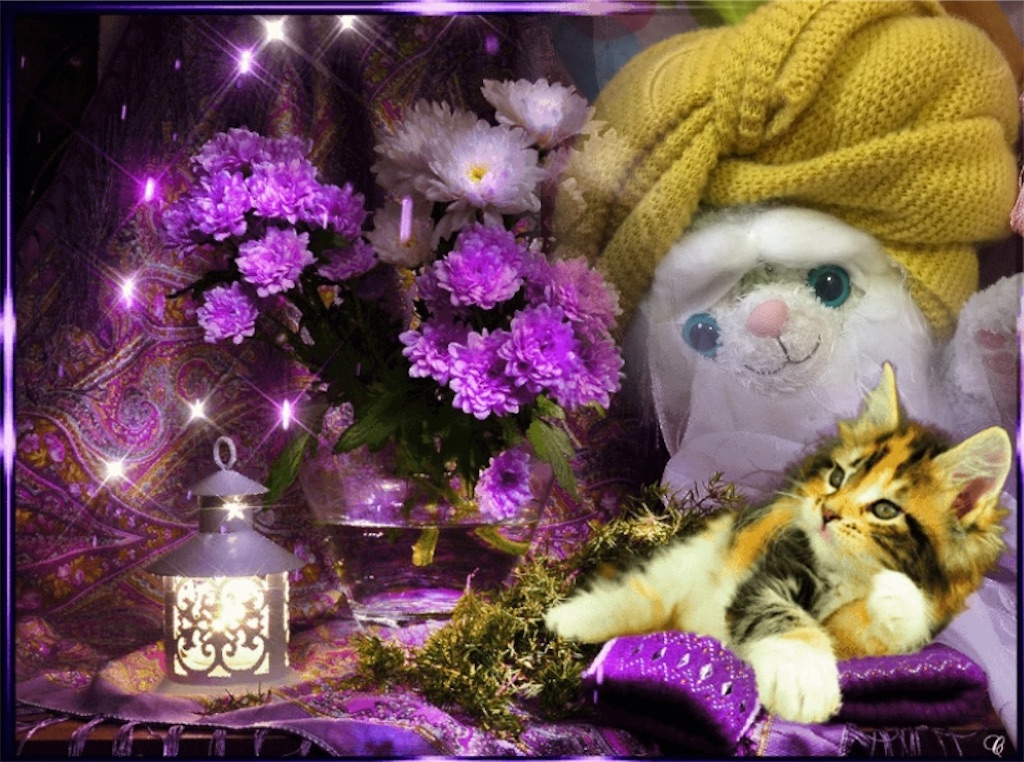 f:id:pinkstrawberryflavor:20201119122155j:plain