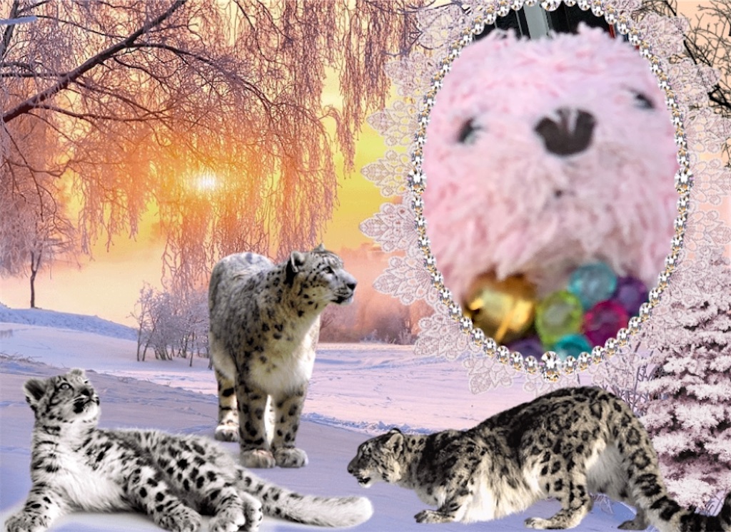 f:id:pinkstrawberryflavor:20201211123420j:plain