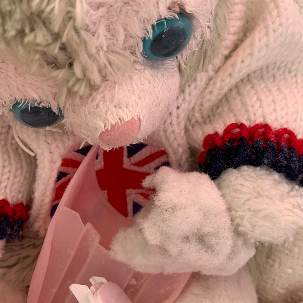 f:id:pinkstrawberryflavor:20201218111440j:plain