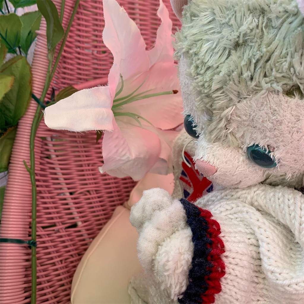 f:id:pinkstrawberryflavor:20201218111444j:plain