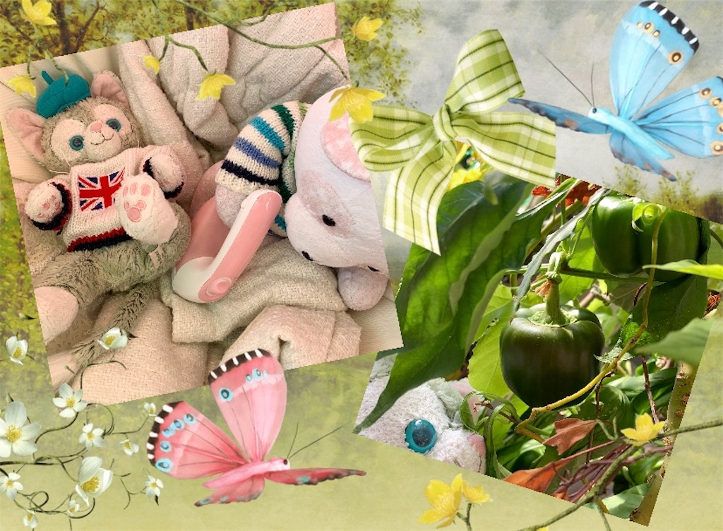 f:id:pinkstrawberryflavor:20201218111451j:plain