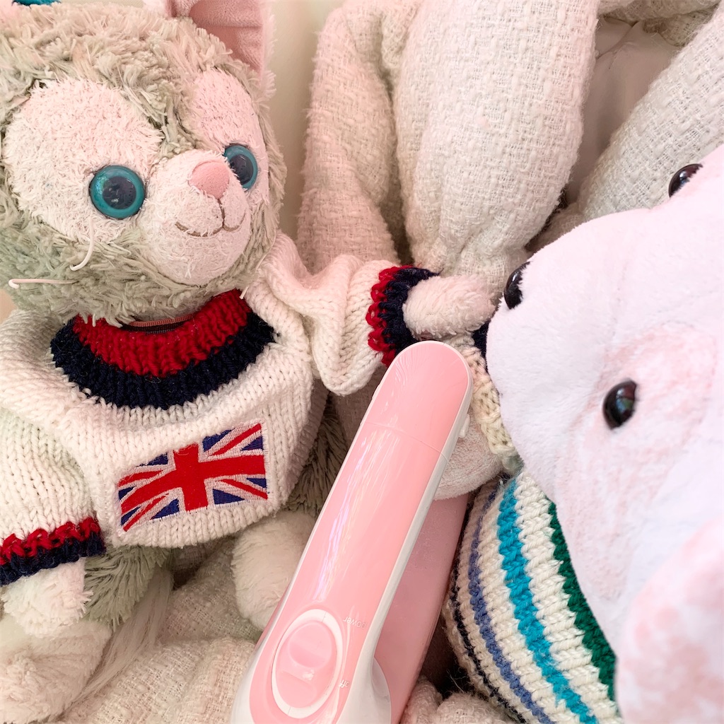 f:id:pinkstrawberryflavor:20201218111455j:plain