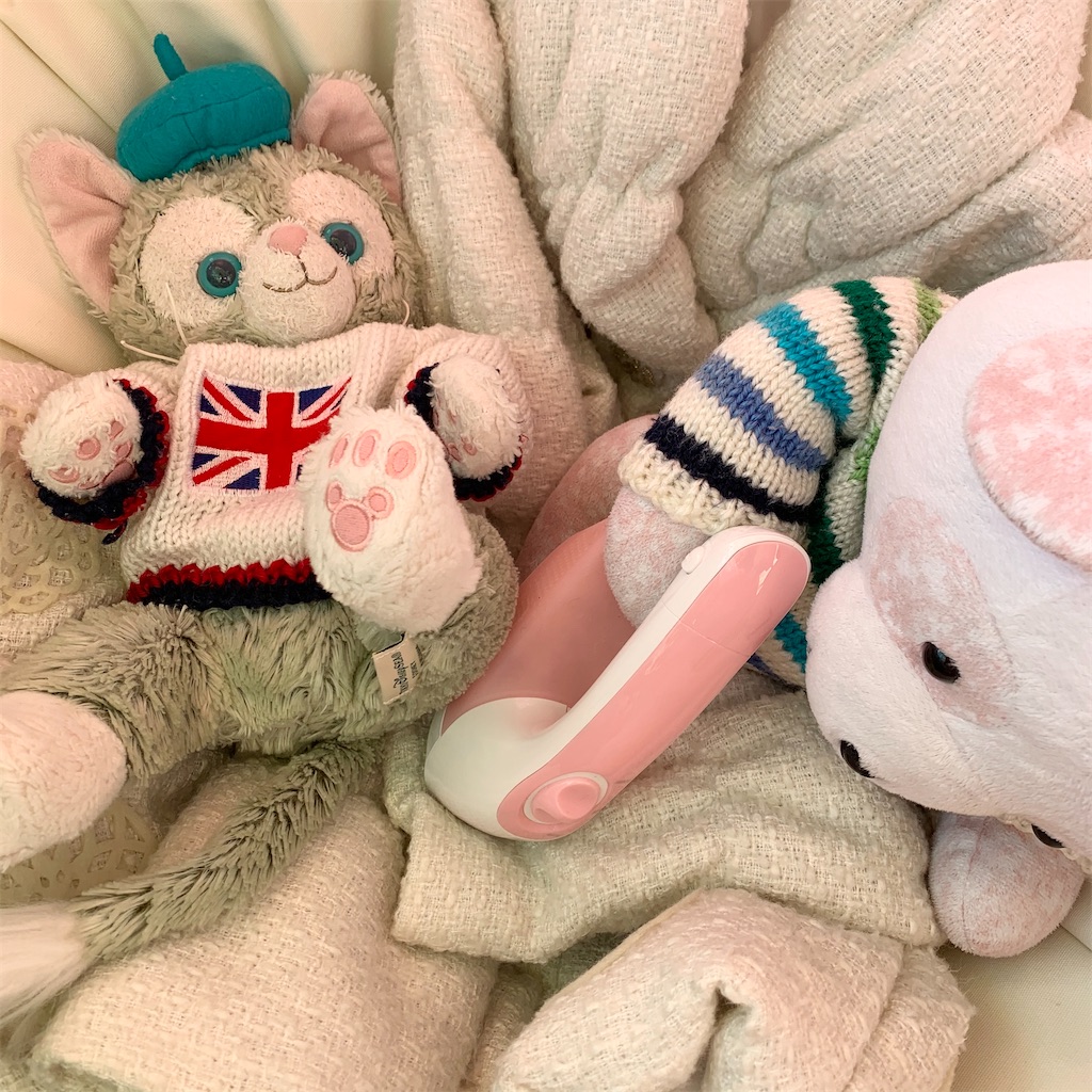 f:id:pinkstrawberryflavor:20201218111502j:plain