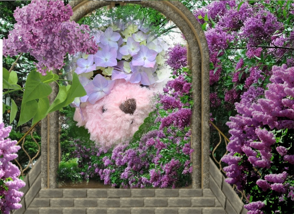 f:id:pinkstrawberryflavor:20210607100341j:image